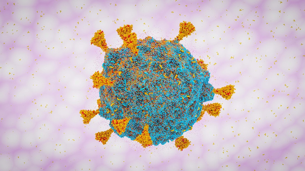 Covid: des nouveaux variants résistent aux anticorps de la vaccination ou d'une précédente contamination