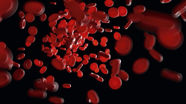 Darmflora helpt bij uitbreiding bloeddonatie