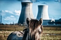 L'impact de la fin du nucléaire ? 15 euros au maximum par an par ménage