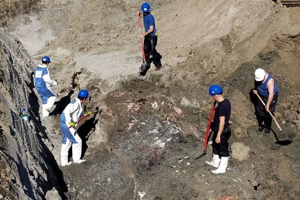 Les travaux d'exhumation du cachalot "Valentin" terminés à Coxyde