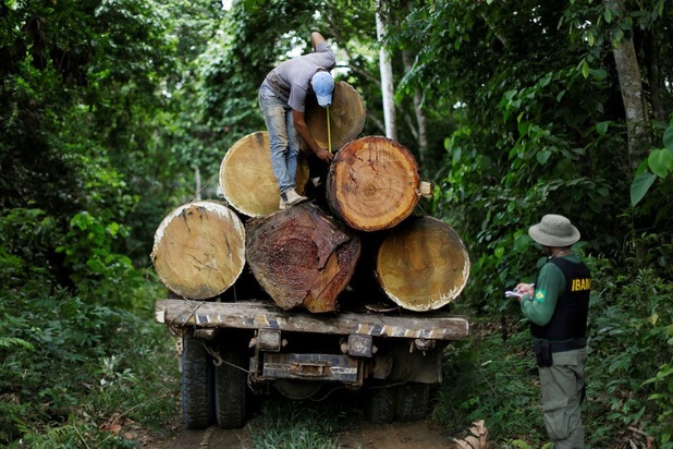 Europese plannen tegen ontbossing: milieu-organisaties zien 'belangrijke eerste stap'
