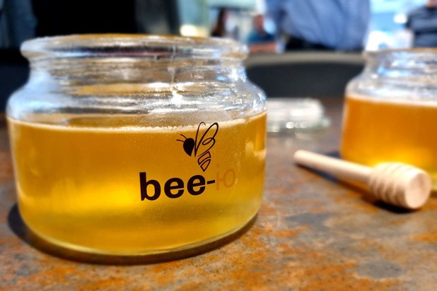 Bee-io, la start-up qui fabrique du 'vrai' miel sans abeilles