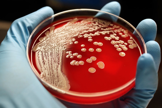 'We spelen allemaal een rol in de verspreiding van resistente bacteriën'