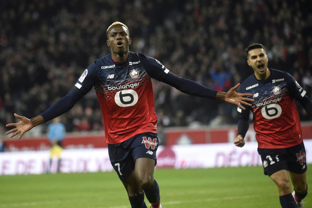 Osimhen (ex-Charleroi) verlaat Lille al na 1 jaar voor Napoli