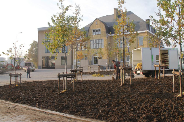 Groenaanleg rondom gemeentehuis in Langemark van start