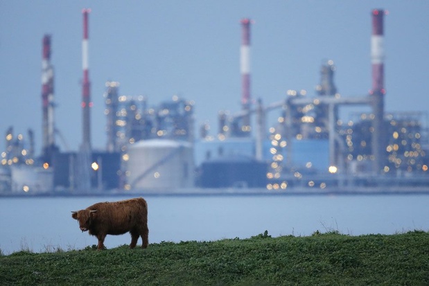 'Europese oliebedrijven boekten sinds oorlog al 3 miljard extra winst door hoge prijzen'