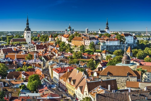 Estland zegt grote cyberaanval tegen te houden