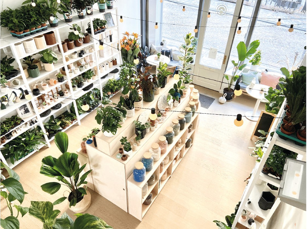 Ambachtelijk en lokaal: tien bijzondere craft shops in België