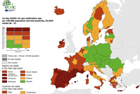 Covid: à Bruxelles, 37% des cas positifs sont des retours de zone rouge