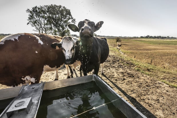 Boeren vragen droogtemaatregelen