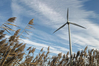 Des ministres N-VA montent au créneau contre la construction d'éoliennes en Wallonie