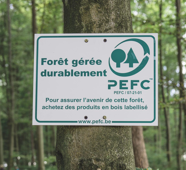 PEFC Belgium kondigt nieuwe normen aan voor Waalse bossen