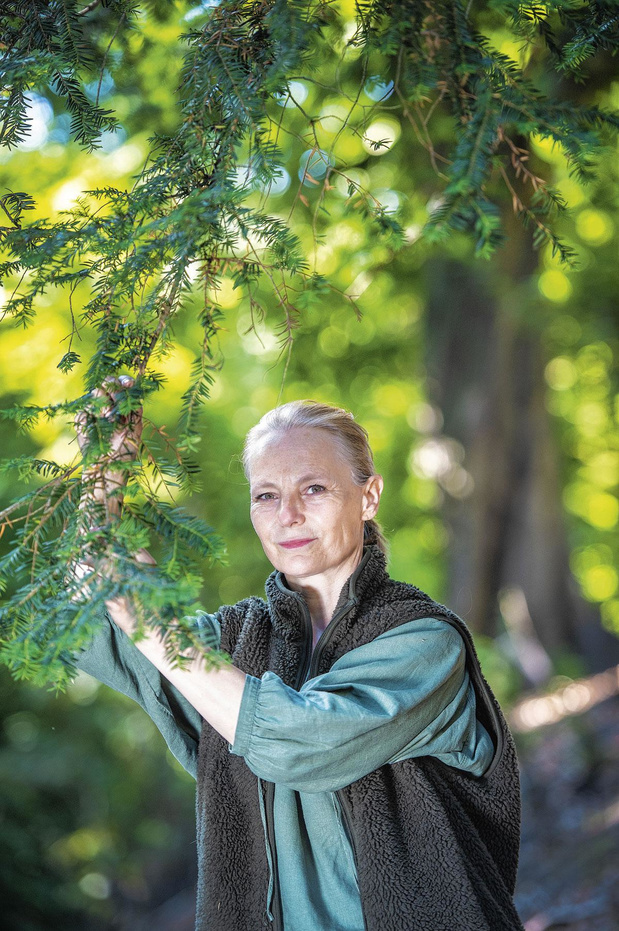 Els, 55 ans, prend soin des vieux arbres 
