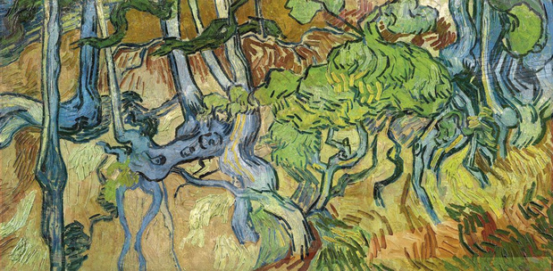 Het picturale testament van Van Gogh ontsluierd 