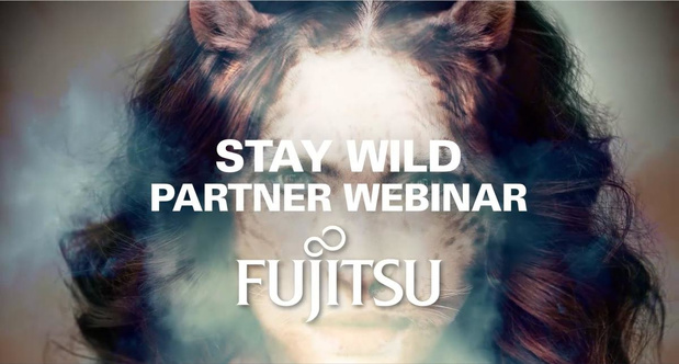 How can you optimize your Enterprise? Fujitsu's Micro Enterprises Structure