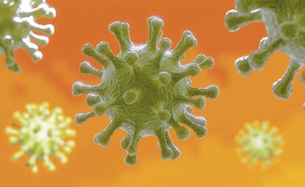 La protéine b1-intégrine, une clé de plus sur le trousseau anti-virus 