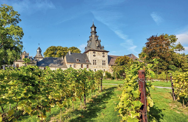 Vins belges: les beaux flacons de notre plat pays