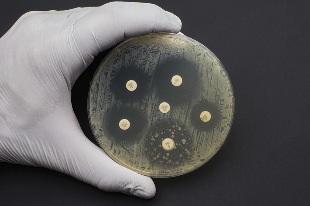 1,27 million de décès dus à la résistance aux antimicrobiens en 2019