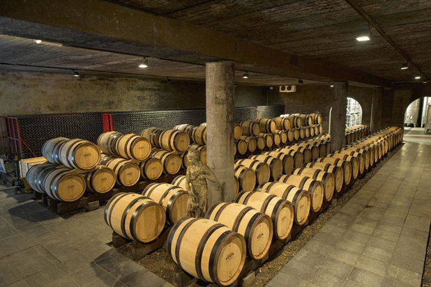 De Belg drinkt 26 liter wijn per jaar: dit zijn de grootste wijndrinkers in Europa