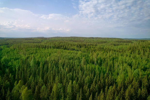 Metsä Board stelt EcoVadis-score scherper