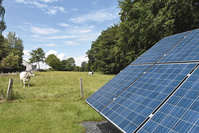 Forte hausse d'installation de panneaux photovoltaïques en Flandre en 2020