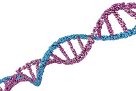 Le génome humain totalement séquencé