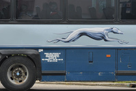 Greyhound, l'entreprise de bus gris, repris par FlixBus