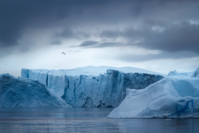 Calotte glaciaire du Groenland : 4.700 milliards de tonnes de glace fondues en 20 ans