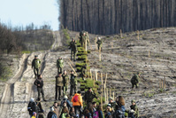 COP 26 - Agir pour le climat: pourquoi replanter des arbres ne suffira pas