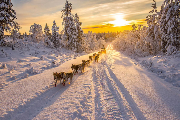 La Laponie : quand les rêves deviennent réalité