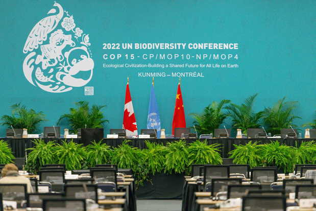 Wat ondernemers moeten weten over het biodiversiteitsakkoord