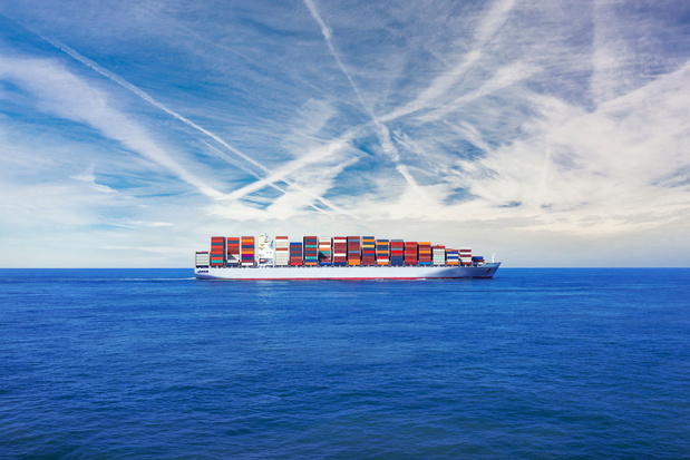 Theo Notteboom (professor maritieme wetenschappen): 'Machtsuitbreiding rederijen bedreigt vrije marktwerking vervoer'