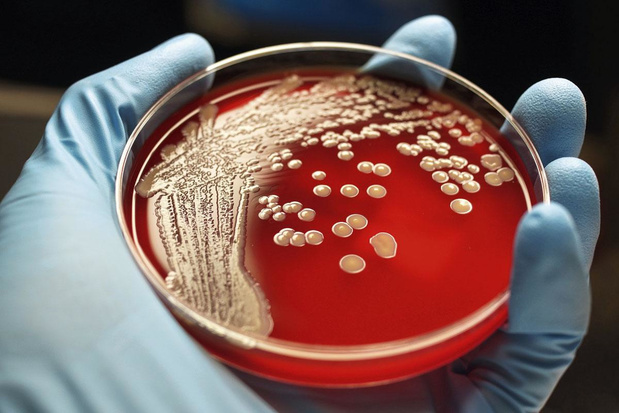 Staphylococcus aureus in slaaptoestand 