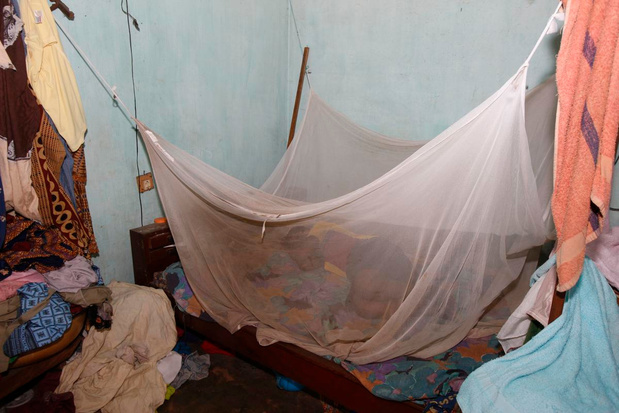 Le paludisme, une maladie toujours redoutable en Afrique