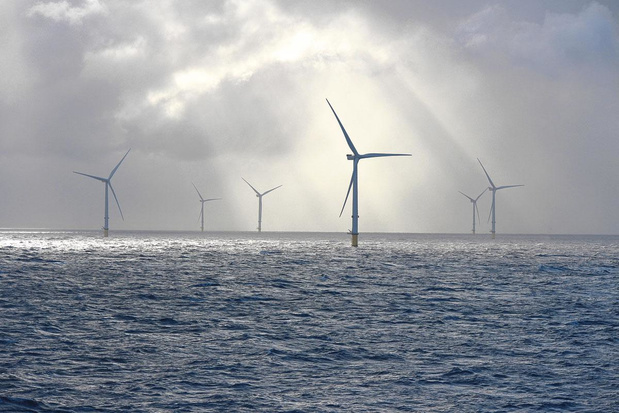 L'éolien offshore, un talent belge dans le vent 