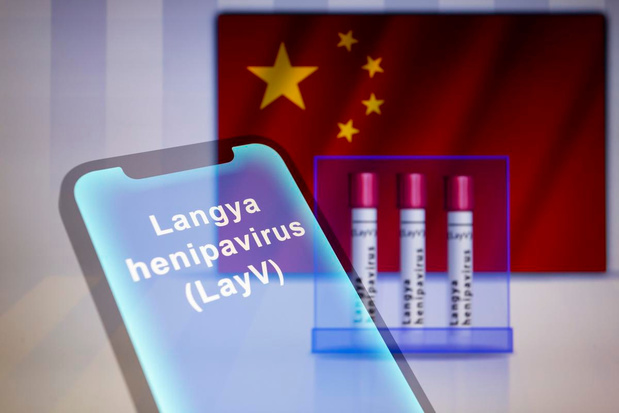 Un nouveau virus, Langya, identifié en Chine, des dizaines de cas