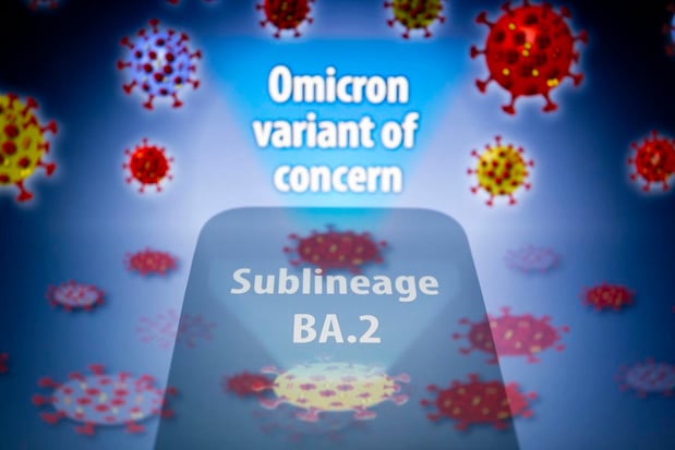 Omicron BA.2 ne provoque pas de forme plus grave du Covid que BA.1