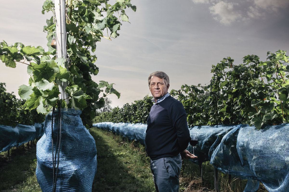 Belgische wijnbouw groeit met horten en stoten