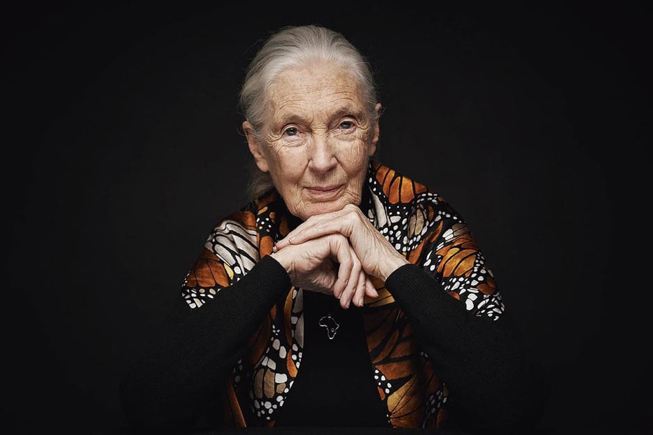 Biologe Jane Goodall op de bres tegen de klimaatverandering: 'Hoop is de bereidheid om actie te ondernemen'