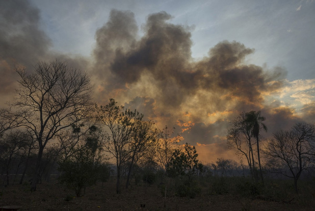 Bolivia roept nationale noodtoestand uit wegens bosbranden