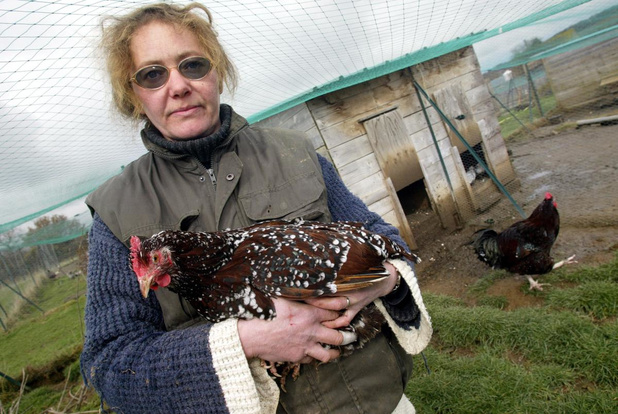 L'OMS craint que la grippe aviaire s'adapte "plus facilement" à l'espèce humaine