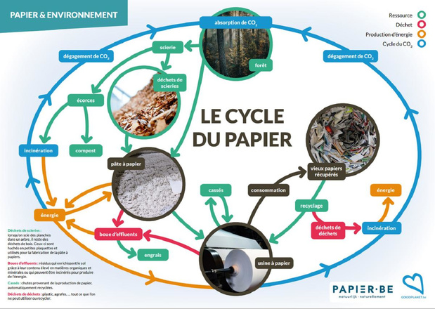 Papier.be et GoogdPlanet lancent un module pédagogique sur le caractère durable du papier-carton