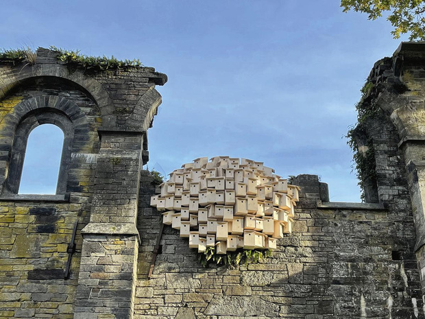 Dialogue entre nature et architecture au coeur de l'abbaye de Villers-la-Ville