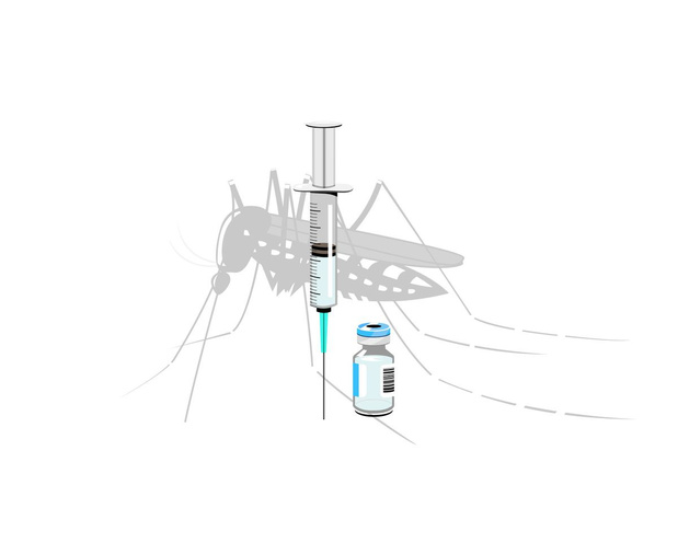 L'Agence européenne des médicaments approuve le premier vaccin contre le chikungunya