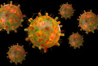 Alpha, Beta, Gamma: l'OMS renomme les variants du coronavirus