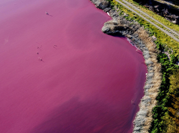 Une lagune de Corfo en Patagonie, vire au rose