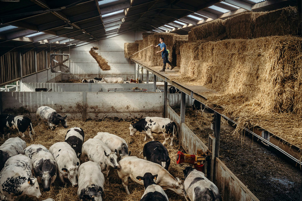 La Commission avance de nouvelles règles pour les émissions de l'industrie et de l'élevage