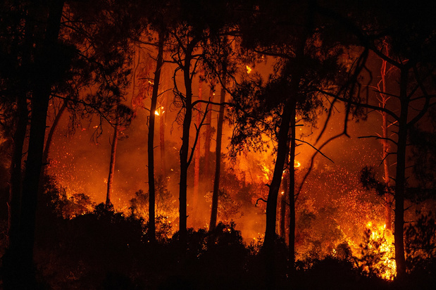 Les incendies de forêt ont engendré des records d'émission de carbone en 2021