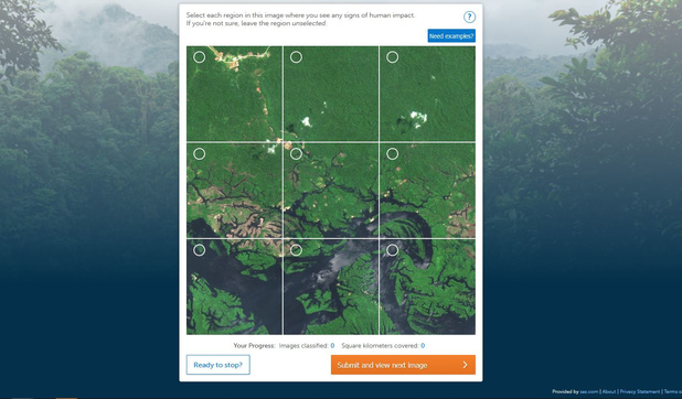 Formez vous-même l'AI à sauver la forêt amazonienne