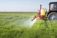 Présomption forte de lien entre pesticides et six maladies graves